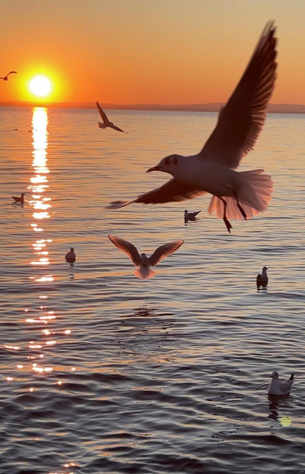 Cangrande Hotel Lazise Eksteriør bilde